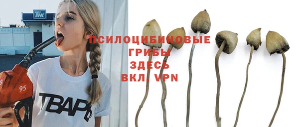 ECSTASY Гусиноозёрск