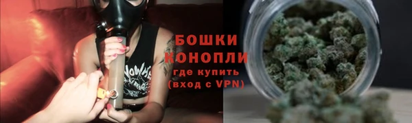 гидропоника Горнозаводск