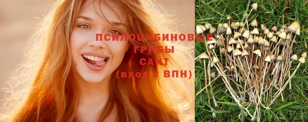 mdpv Гусев