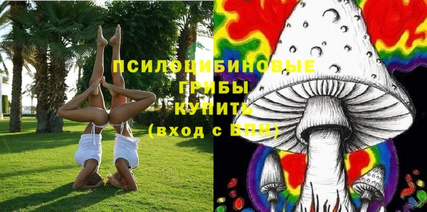 эйфоретик Богданович