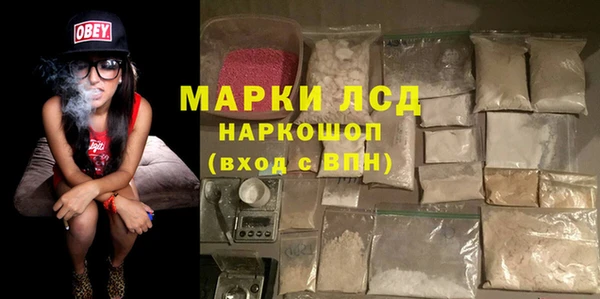 прущие грибы Гусь-Хрустальный