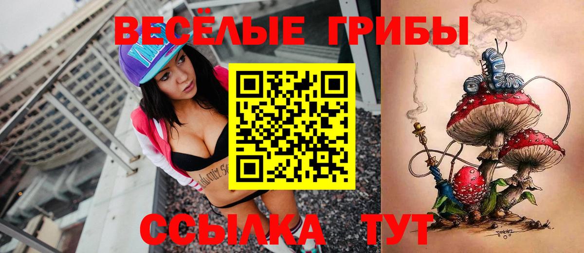 Псилоцибиновые грибы GOLDEN TEACHER  Вход с VPN  Гусь-Хрустальный  Псилоцибиновые грибы мицелий 