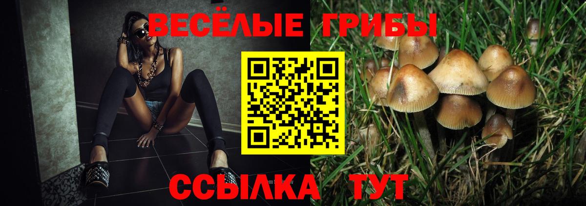 Псилоцибиновые грибы Cubensis Гусь-Хрустальный