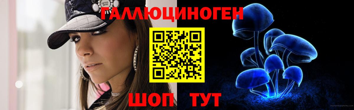 Псилоцибиновые грибы мицелий  Псилоцибиновые грибы Cubensis  Гусь-Хрустальный 